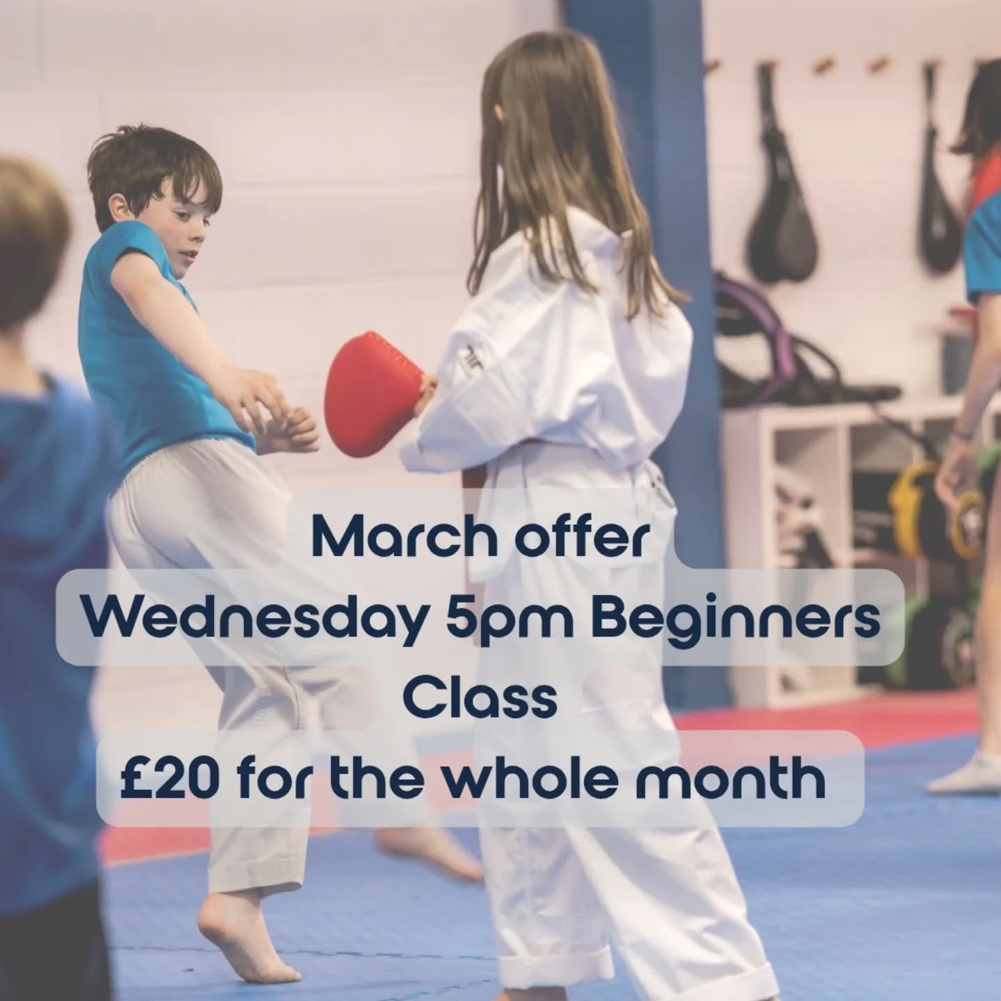 Titan TKD on Instagram